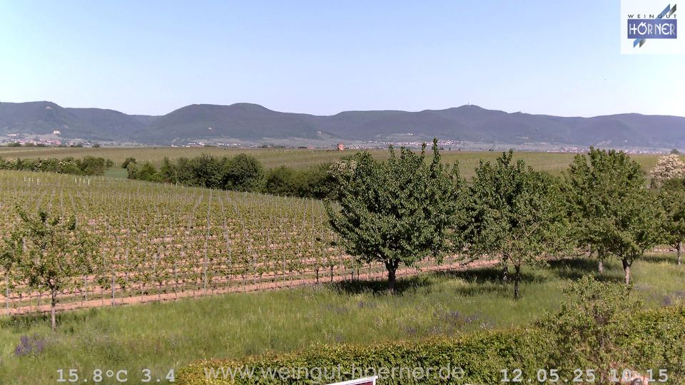 Webcam Weinberge Hochstadt