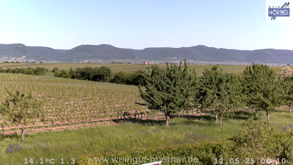Webcam Weinberge Hochstadt