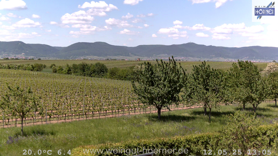 Webcam Weinberge Hochstadt
