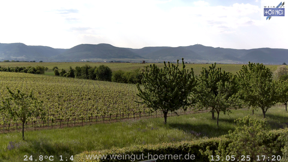 Webcam Weinberge Hochstadt
