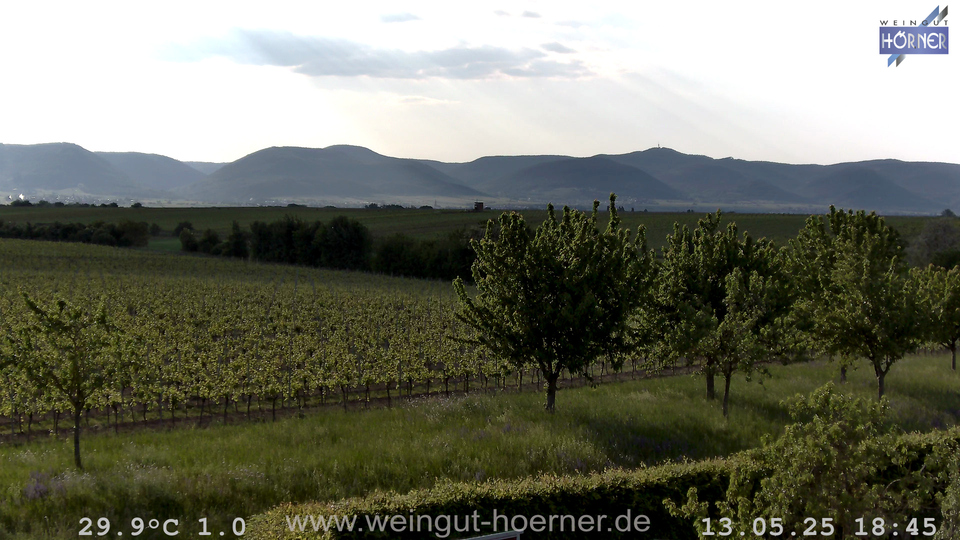 Webcam Weinberge Hochstadt
