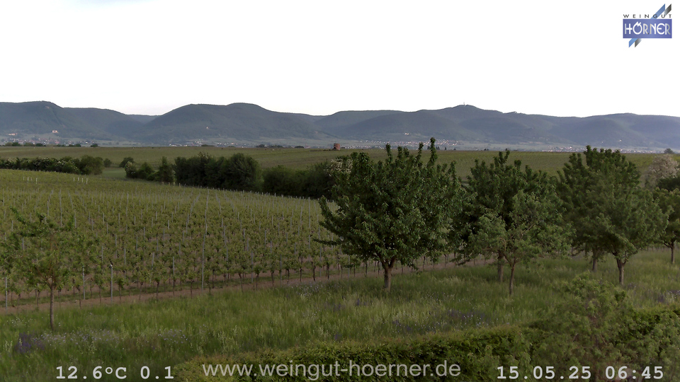 Webcam Weinberge Hochstadt