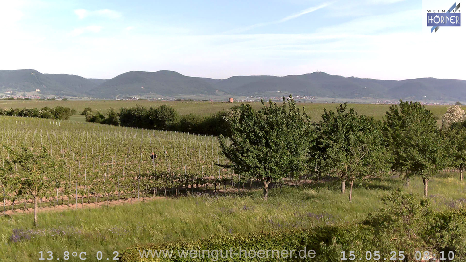Webcam Weinberge Hochstadt