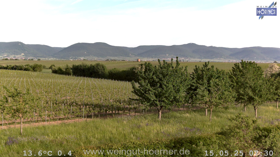 Webcam Weinberge Hochstadt