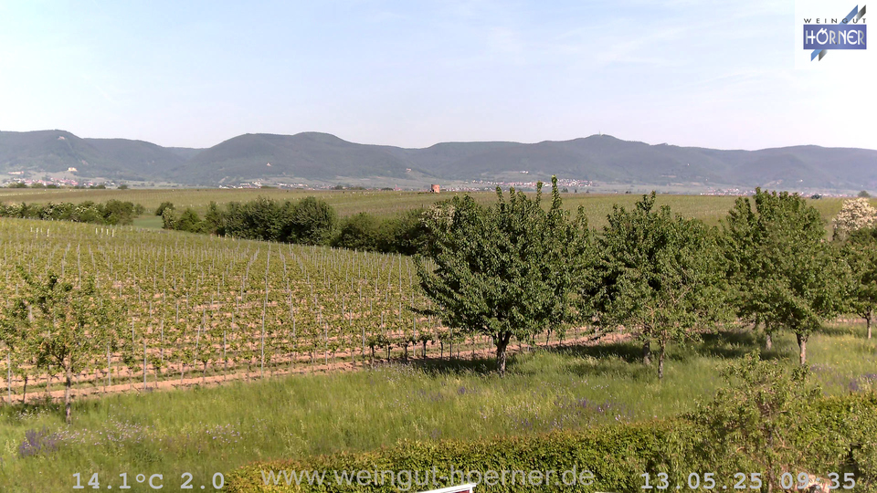Webcam Weinberge Hochstadt