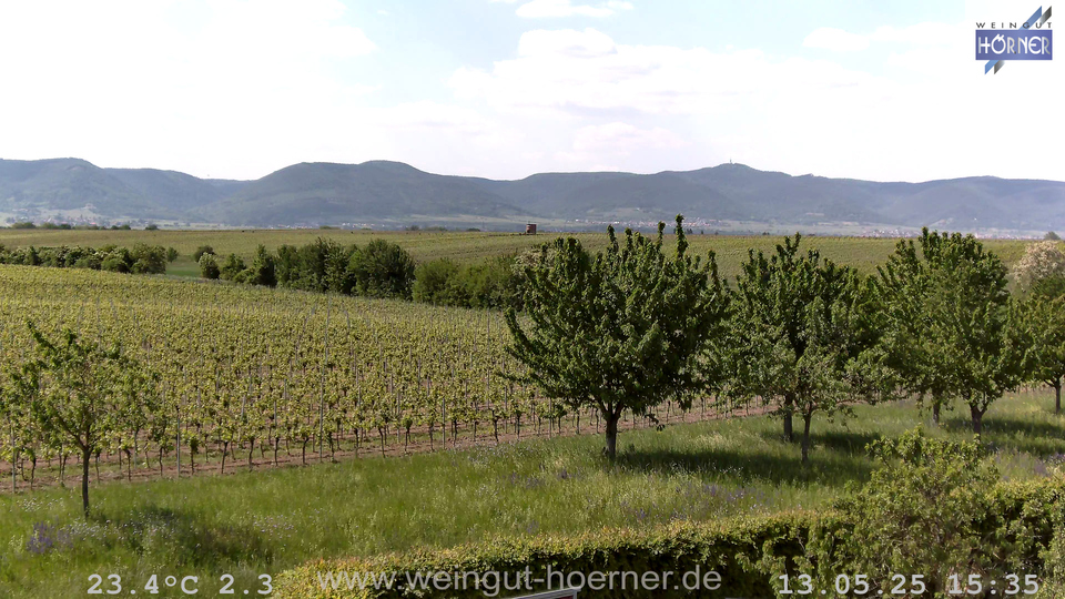 Webcam Weinberge Hochstadt