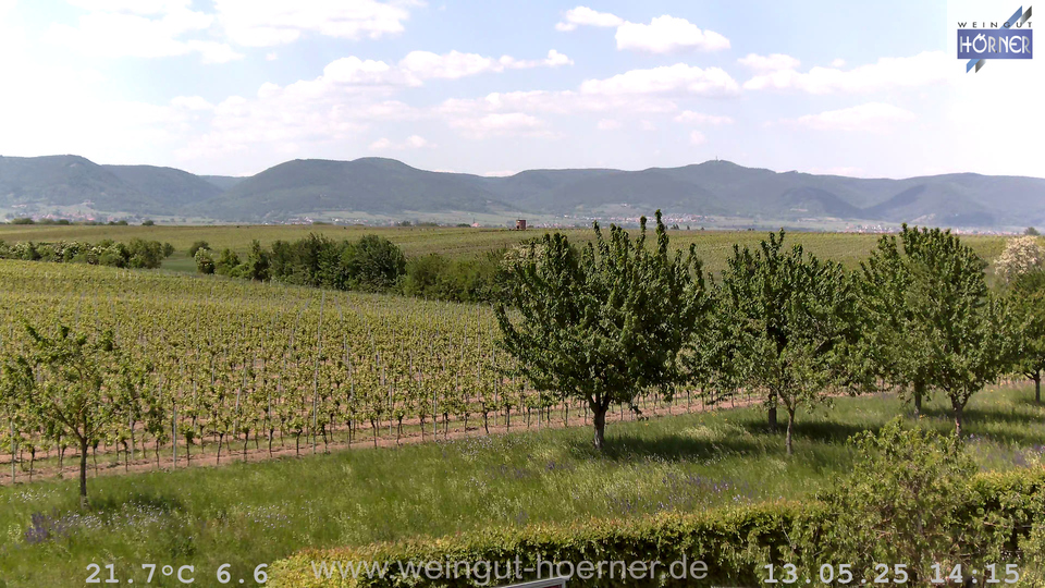 Webcam Weinberge Hochstadt