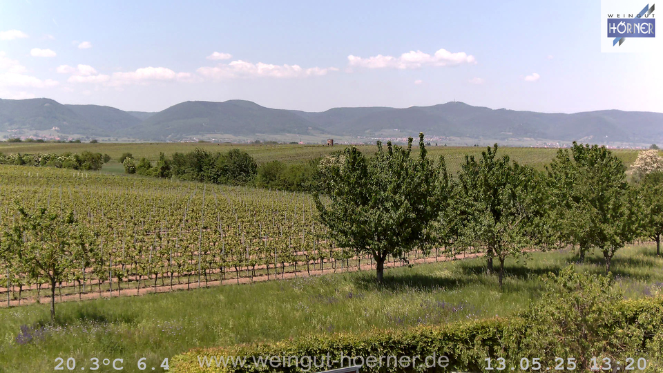 Webcam Weinberge Hochstadt