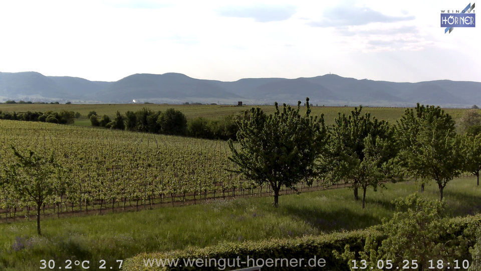 Webcam Weinberge Hochstadt