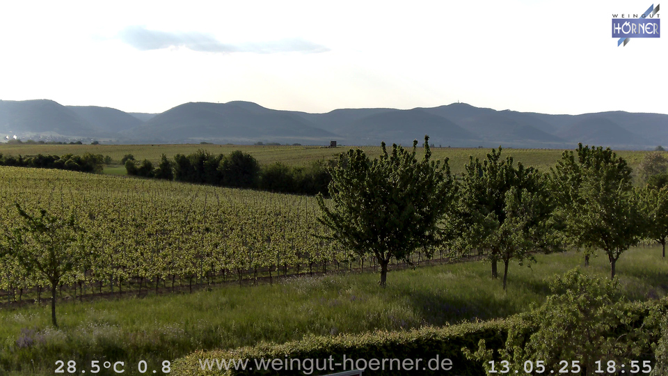 Webcam Weinberge Hochstadt
