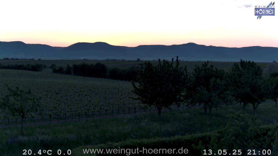 Webcam Weinberge Hochstadt
