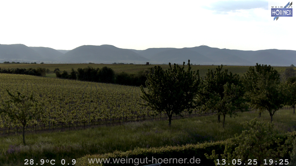 Webcam Weinberge Hochstadt