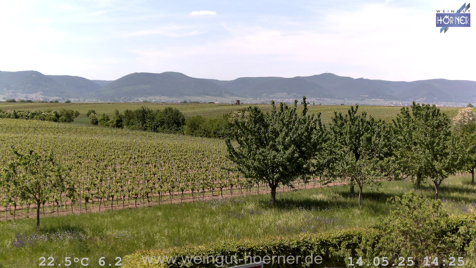 Webcam Weinberge Hochstadt