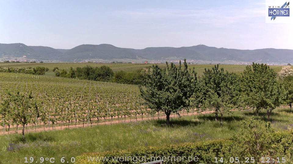 Webcam Weinberge Hochstadt