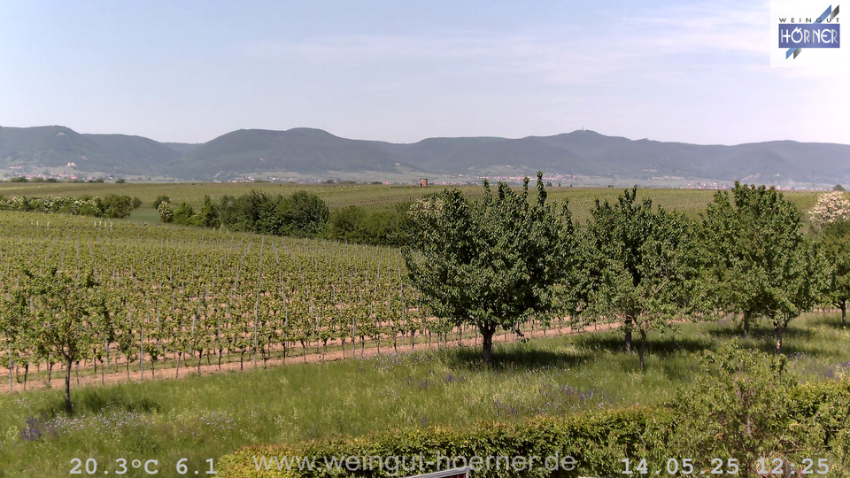 Webcam Weinberge Hochstadt