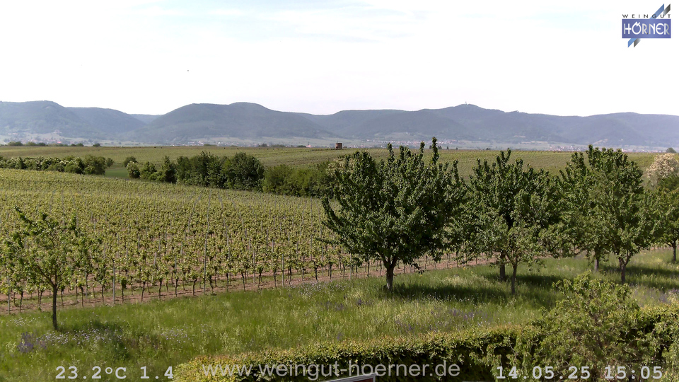 Webcam Weinberge Hochstadt
