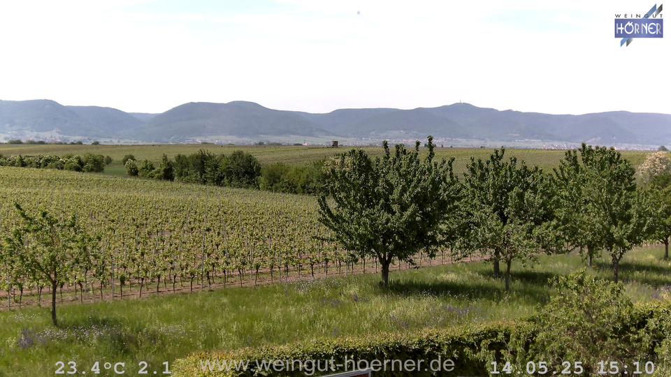 Webcam Weinberge Hochstadt