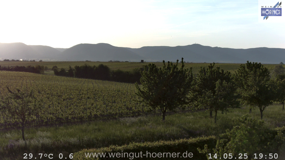 Webcam Weinberge Hochstadt