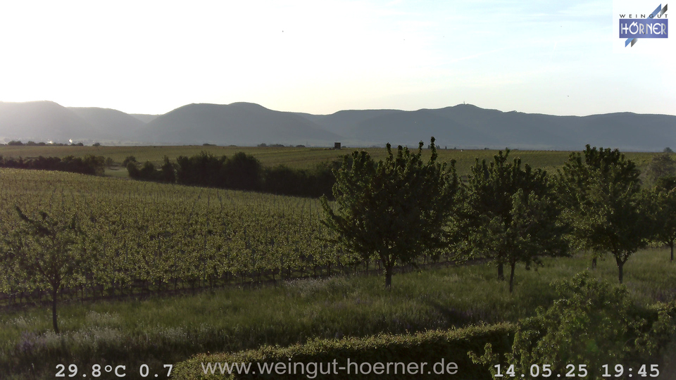 Webcam Weinberge Hochstadt