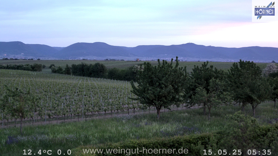 Webcam Weinberge Hochstadt