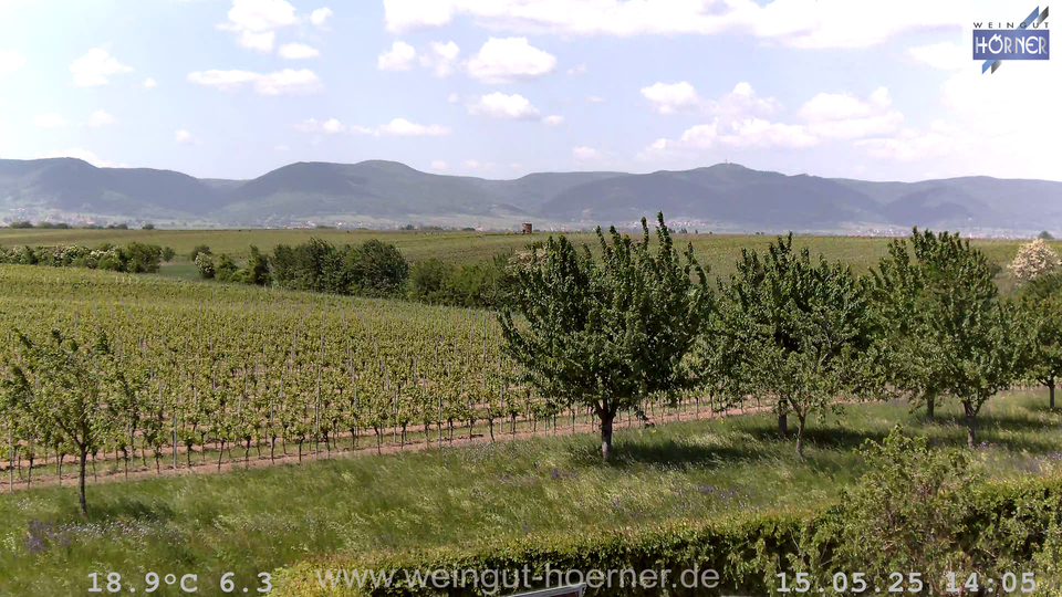 Webcam Weinberge Hochstadt