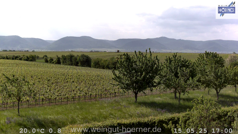 Webcam Weinberge Hochstadt