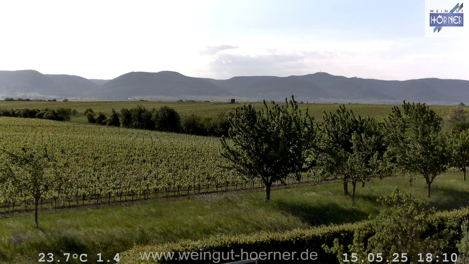 Webcam Weinberge Hochstadt