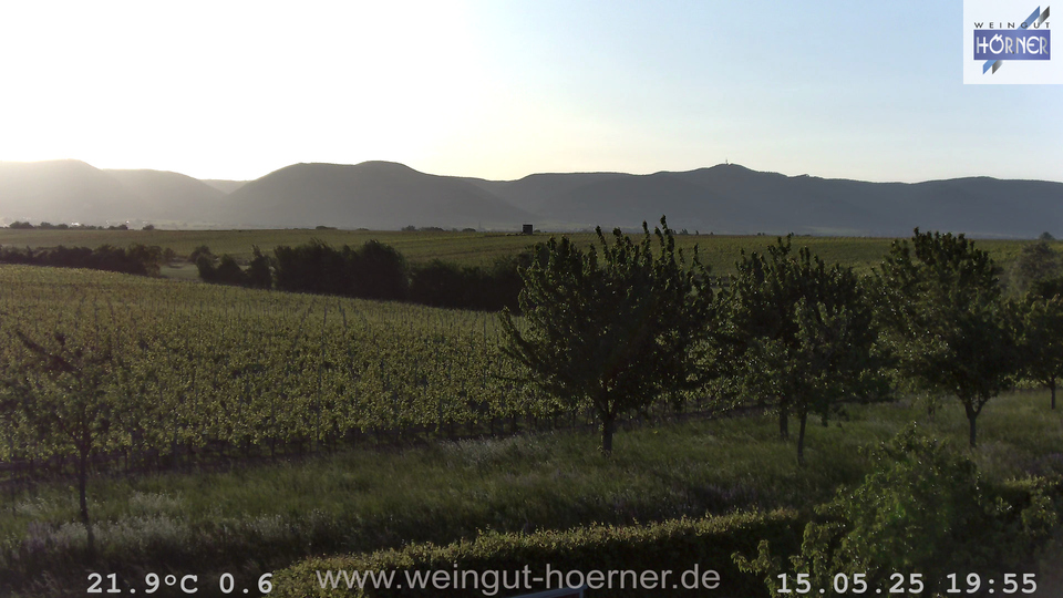 Webcam Weinberge Hochstadt