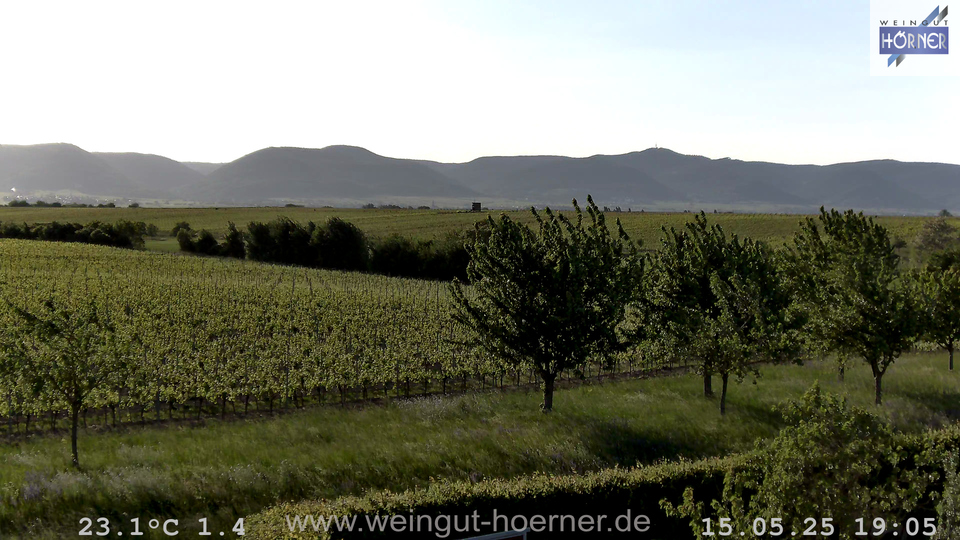 Webcam Weinberge Hochstadt