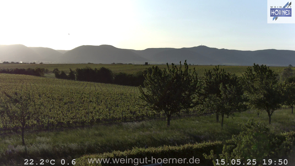 Webcam Weinberge Hochstadt