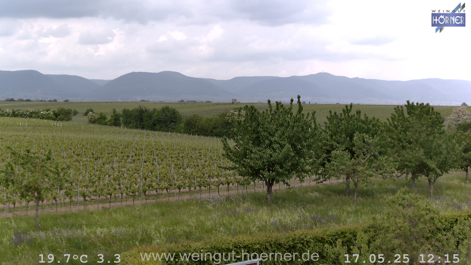 Webcam Weinberge Hochstadt