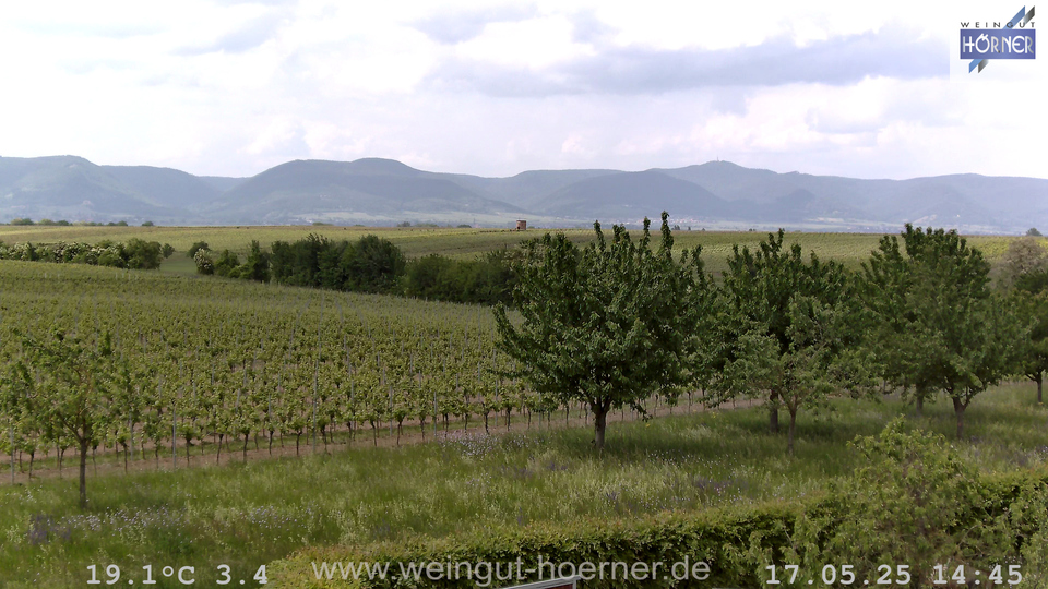 Webcam Weinberge Hochstadt