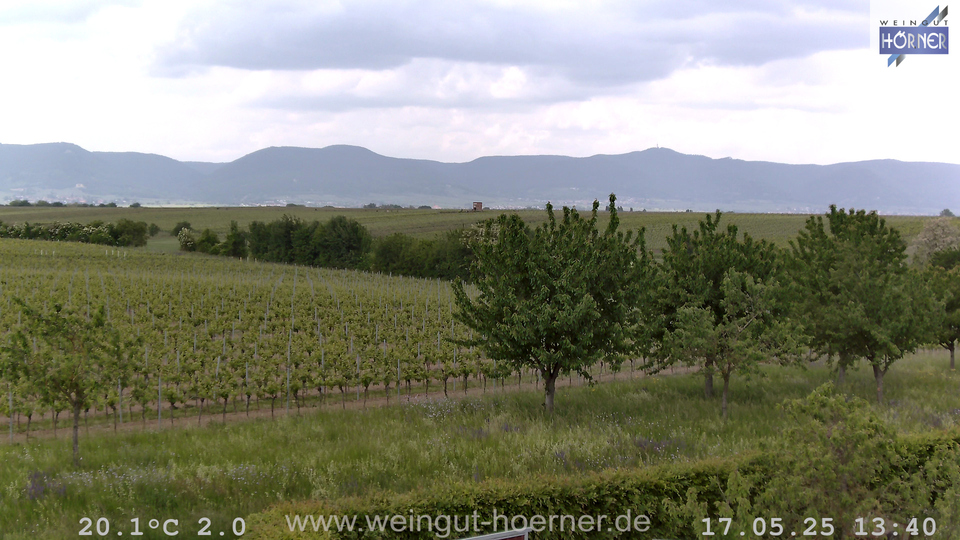 Webcam Weinberge Hochstadt