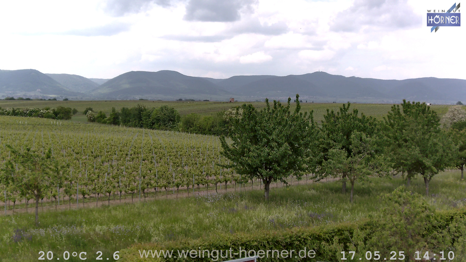 Webcam Weinberge Hochstadt