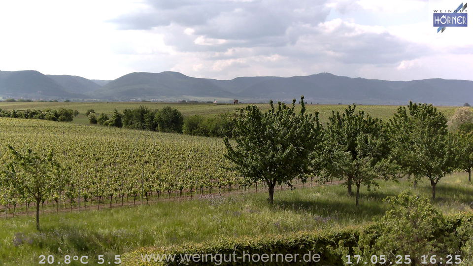 Webcam Weinberge Hochstadt