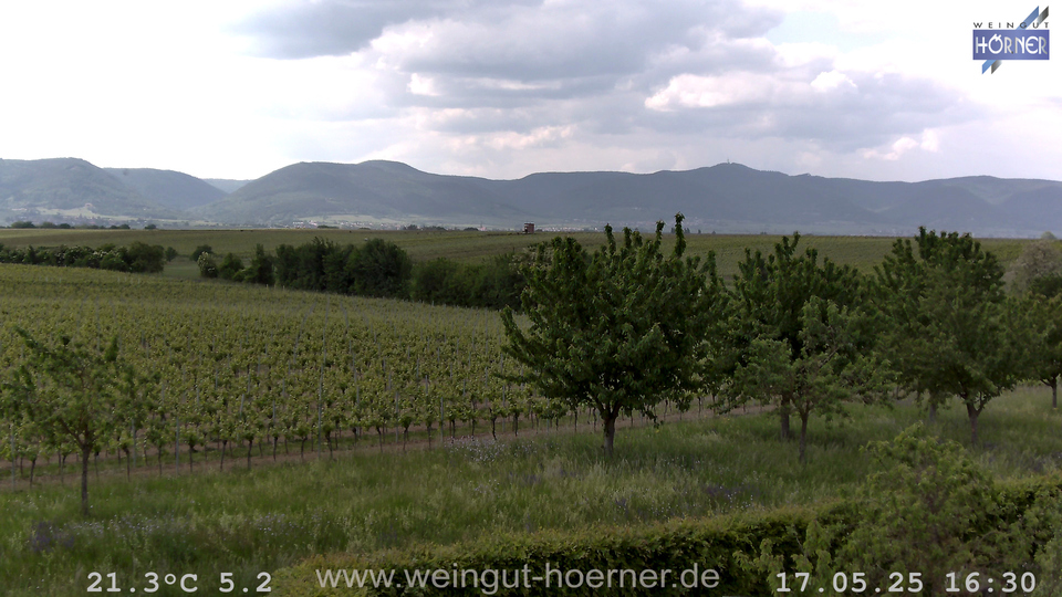 Webcam Weinberge Hochstadt