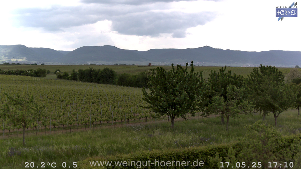 Webcam Weinberge Hochstadt