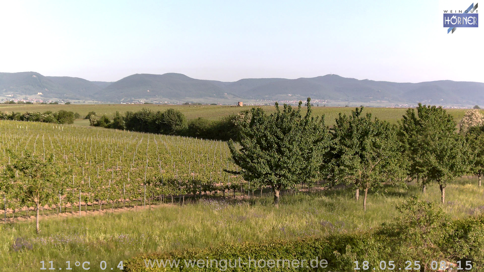 Webcam Weinberge Hochstadt