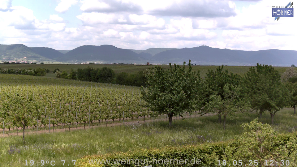 Webcam Weinberge Hochstadt