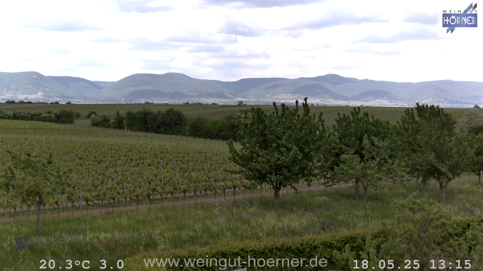 Webcam Weinberge Hochstadt