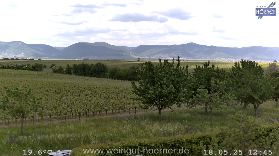 Webcam Weinberge Hochstadt