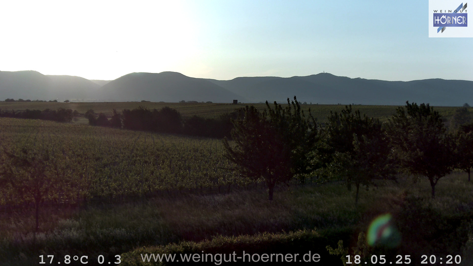 Webcam Weinberge Hochstadt