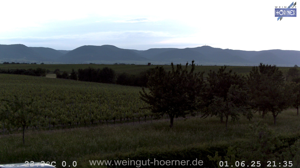 Webcam Weinberge Hochstadt