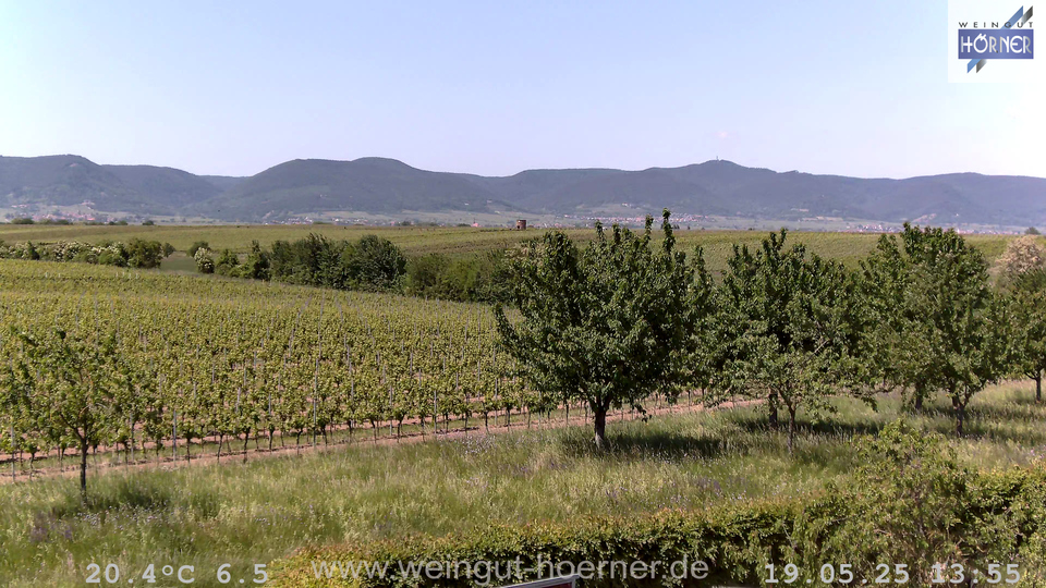 Webcam Weinberge Hochstadt