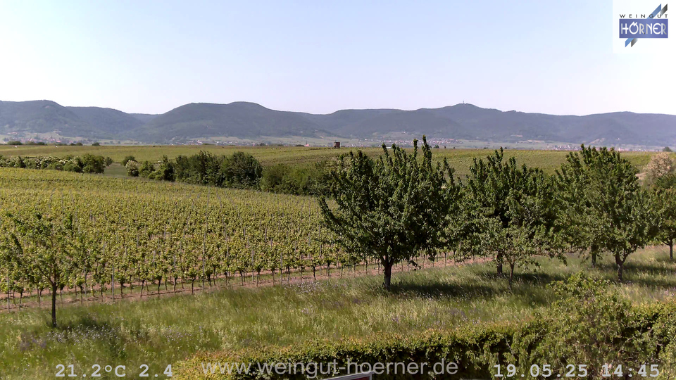 Webcam Weinberge Hochstadt