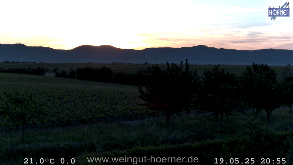 Webcam Weinberge Hochstadt