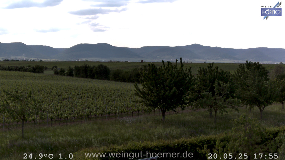 Webcam Weinberge Hochstadt