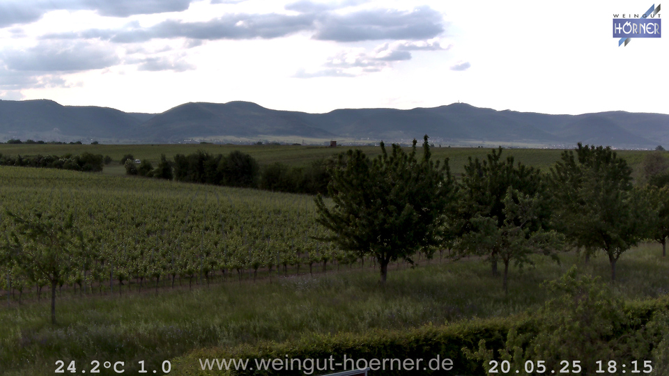 Webcam Weinberge Hochstadt