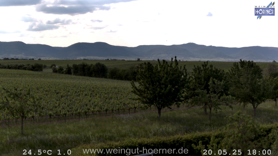 Webcam Weinberge Hochstadt
