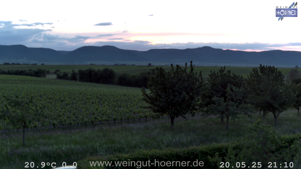 Webcam Weinberge Hochstadt